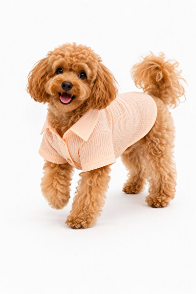 Buddy Store Gömlek - Crinkle Collection Yavru Ağzı