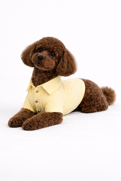 Buddy Store Gömlek - Crinkle Collection Soft Sarı