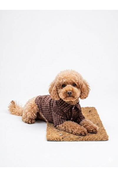Buddy Store Gömlek - Crinkle Collection Kahve-Kırmızı