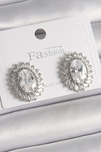 Twin Store Brass Silver Color Zircon Stone Women's Earrings