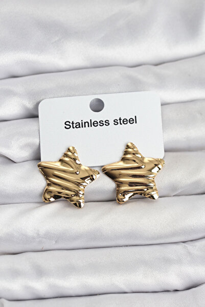 Twin Store 316L Steel Gold Color Star Model Women's Earrings