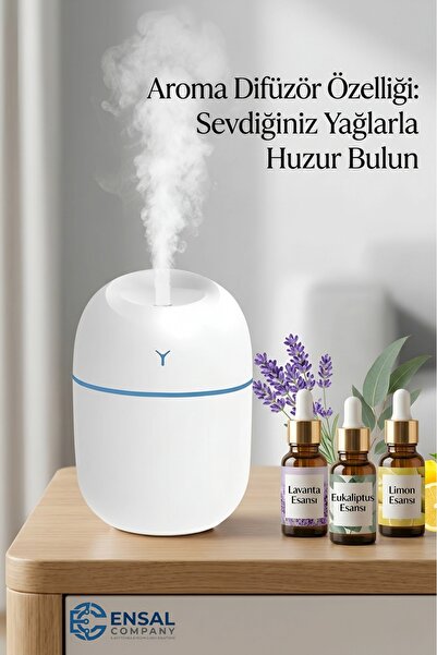 Alaska Aromaterapi hava Nemlendirici Difüzör 220 ML, LED Gece Işıklı ve Sessi...