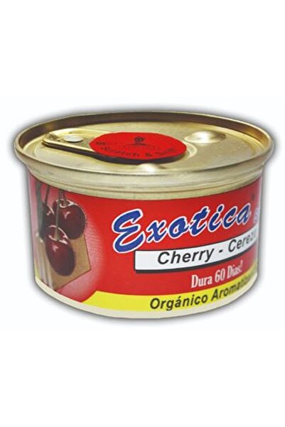 Fresheners Exclusive Canned Cherry Ortam ve Oto Koku (Made In Usa)