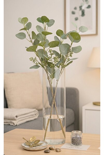 OEM Διαφανές κυλινδρικό διακοσμητικό βάζο ⌀ 8x28εκ.