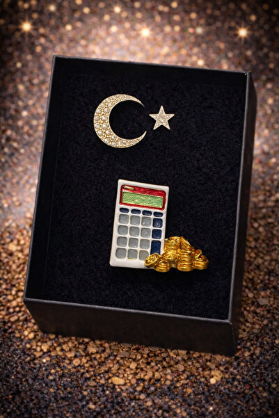 PULİNİN DÜKKANI Ay Yıldız ve Hesap Makinesi Temalı Broş – Muhasebe & Türkiye ...