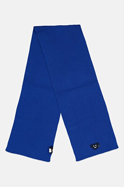 Armani Emporio Men Ribbed Scarf, Blue