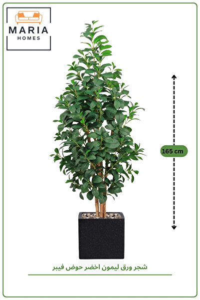 MARIA HOMES 165 CM Artificial Lemon Leaf Tree with Black Speckled Square Fibe...