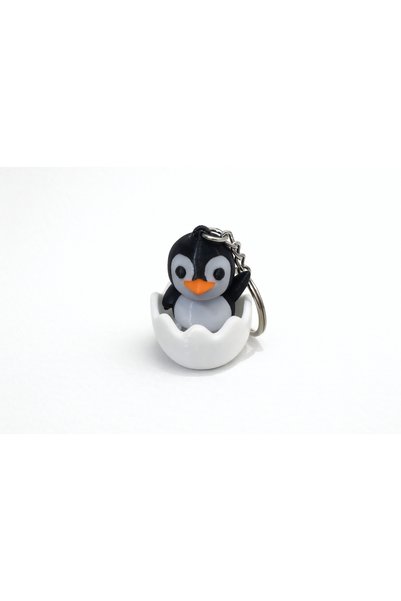 Thre3D Home Key Chain