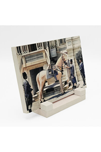 Sadrazam Το άλογο και η ιππική εξοπλισμού του Σουλτάνου Αμπντουλχαμίν εμπριμέ...