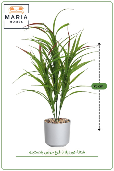 MARIA HOMES 75CM Artificial Cordyline Plant with Light Gray Pot | 3 Branch In...