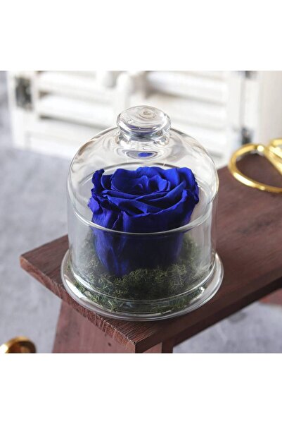 OCMS Perpetual Royal Blue Roses