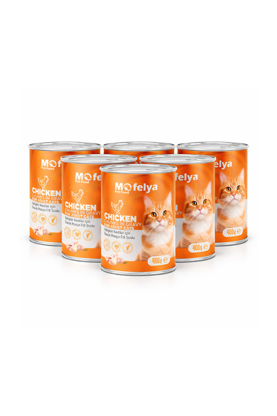 MOFELYA Movelia Bundle of Adult Cats 6 Pcs Chicken in Jelly 2400g