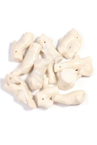 Choice5 4-7cm 5pcs White 5pcs 2-7cm Irregular Natural Coral Loose Beads Tree ...
