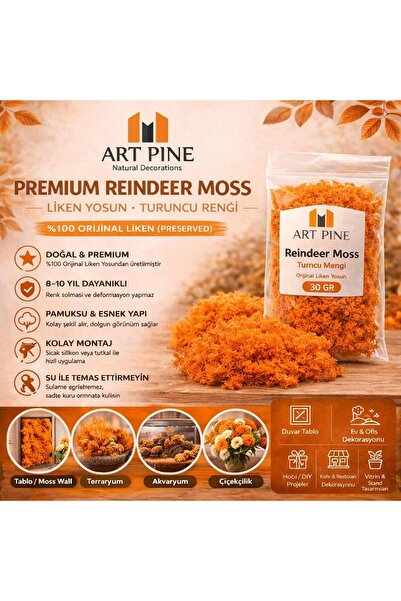 ART PINE Premium konzervirani moša sobova u šokiranoj narandžastoj boji - liš...