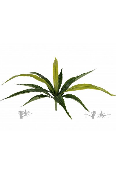 Roberto Rossi Feriga artificiala Asplenium osaka S verde