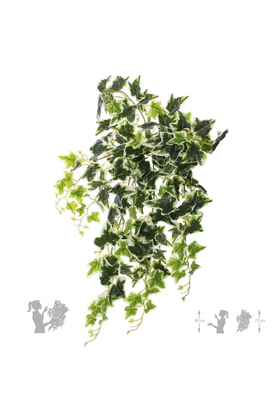 Roberto Rossi Iedera artificiala H75cm cu frunze verde cu alb pentru exterior...