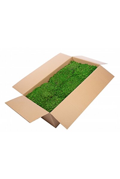 Roberto Rossi Muschi stabilizati Sphagnum 2 kg verde inchis, forma plata, aco...
