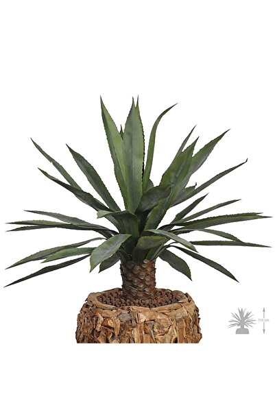 Roberto Rossi Agave 110 cm