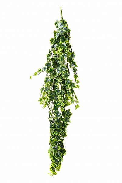 Roberto Rossi Iedera artificiala H120cm cu frunze verde cu galben pentru exte...