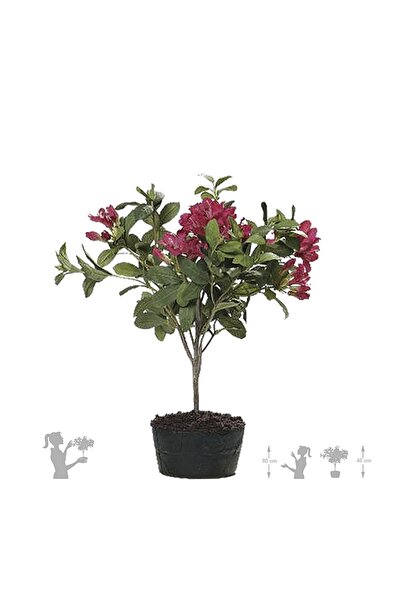Roberto Rossi Rhododendron artificial cu flori rosii H45cm HO