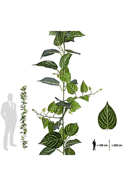 Roberto Rossi Ghirlanda zebra artificiala 220 cm verde - alb cu protectie UV