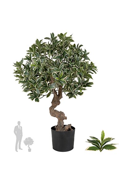 Roberto Rossi Bonsai artificial H60cm Euonymus japonez umbrella