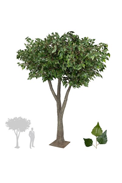 Roberto Rossi Copac artificial H245cm Mesteacan cu 3 ramificatii, coroana D210cm