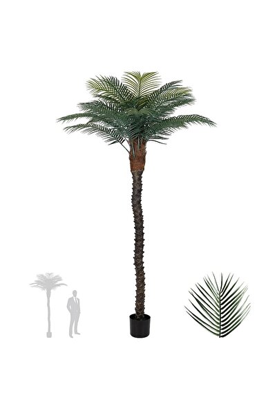 Roberto Rossi Palmier artificial H220cm Phoenix roebelenii
