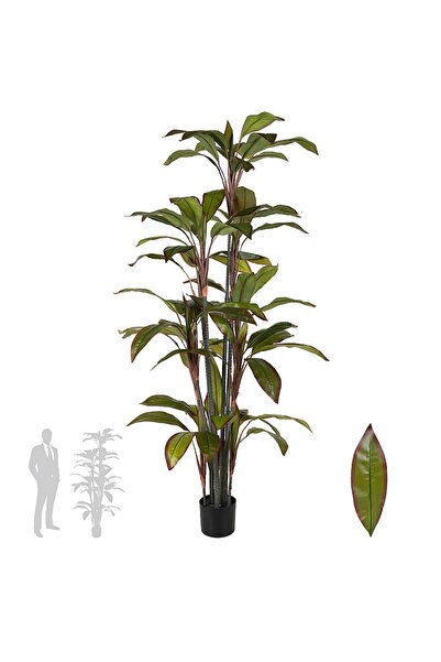 Roberto Rossi Dracaena marginata artificiala cu 66 frunze H180 cm