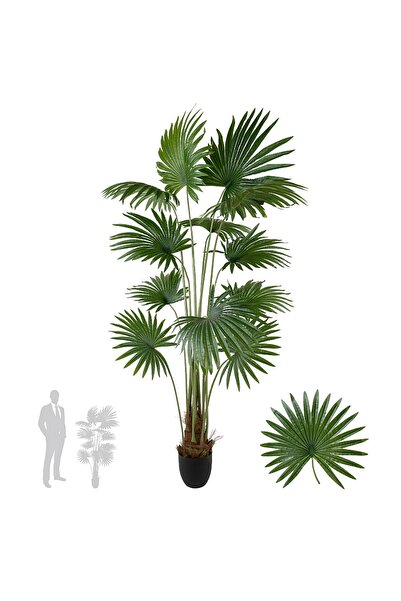 Roberto Rossi Palmier artificial H160cm Washingtonia robusta cu 12 frunze cu ...