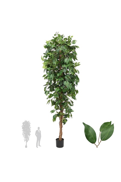 Roberto Rossi Copac artificial H210cm Ficus cu 3 trunchiuri, 1638 frunze