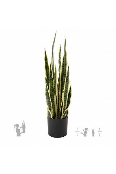 Roberto Rossi Sansevieria artificiala laurentii cu 20 frunze H70 cm