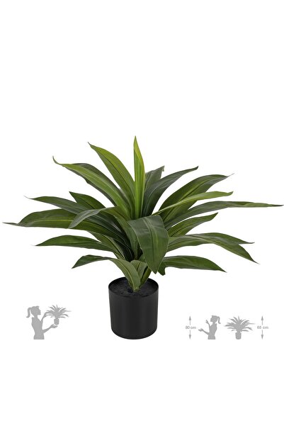 Roberto Rossi Tufa artificiala Dracaena janet craig in ghiveci cu 24 frunze D...