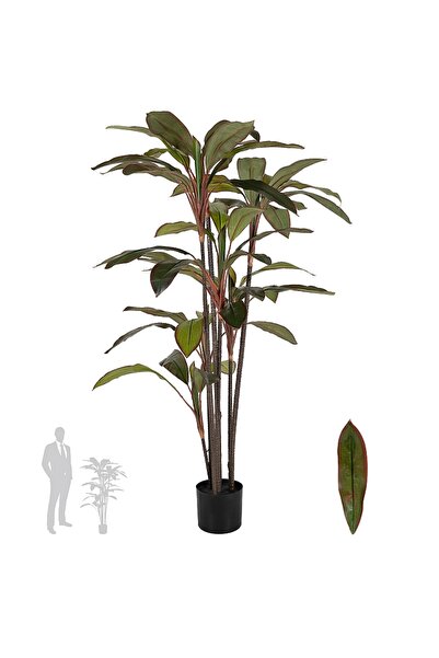 Roberto Rossi Dracaena marginata artificiala cu 50 frunze H150 cm