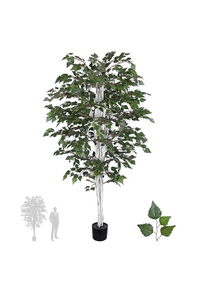Roberto Rossi Copac artificial H210cm Mesteacan alb cu 1690 frunze