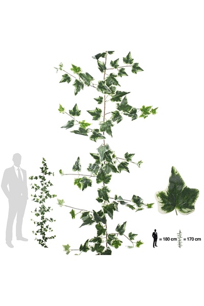 Roberto Rossi Iedera artificiala H170cm cu 110 frunze verde cu alb