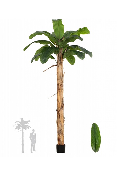 Roberto Rossi Palmier artificial H240cm Banan cu 16 frunze