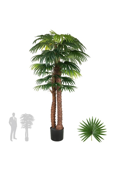 Roberto Rossi Palmier artificial H180cm Chamaerops humilis cu 2 tulpini si 28...