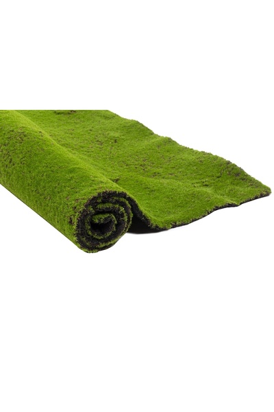 Roberto Rossi Planta artificiala Muschi carpeta 1mp (100X100cm) V3