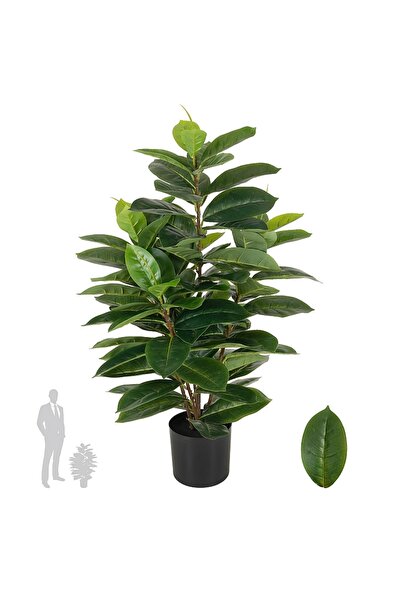 Roberto Rossi Copac artificial H65cm Ficus cyathistipula cu 63 frunze