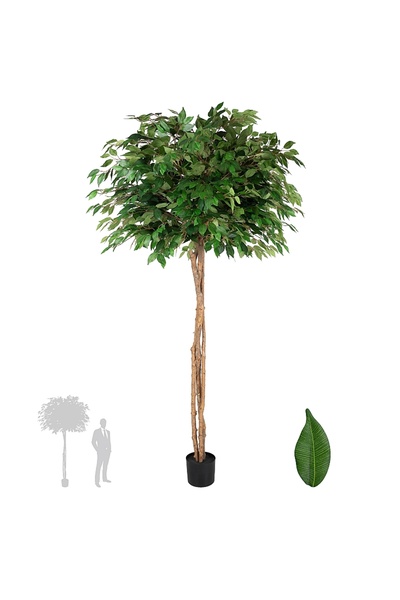 Roberto Rossi Copac artificial H210cm Ficus cu 2520 frunze, coroana D130cm