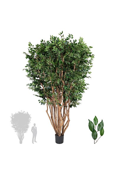 Roberto Rossi Copac artificial H280cm Ficus cu trunchiuri multiple, coroana D...