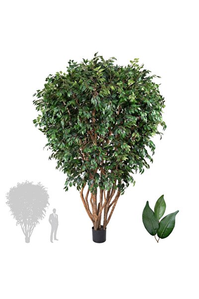 Roberto Rossi Copac artificial H300cm Ficus cu trunchiuri multiple, coroana D...