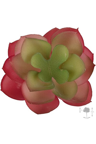 Roberto Rossi Planta artificiala suculenta model41