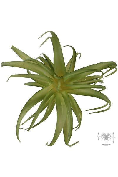 Roberto Rossi Planta artificiala suculenta model47