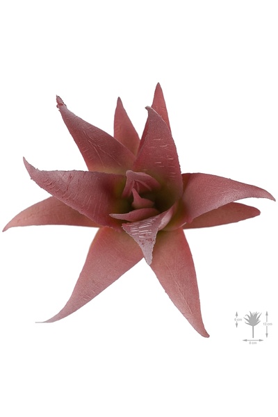 Roberto Rossi Planta artificiala suculenta model7
