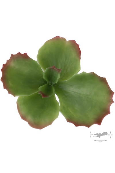 Roberto Rossi Planta artificiala suculenta model85