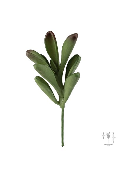 Roberto Rossi Planta artificiala suculenta model74