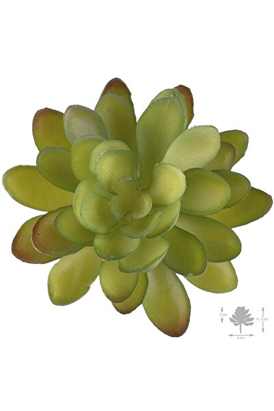 Roberto Rossi Planta artificiala suculenta model28