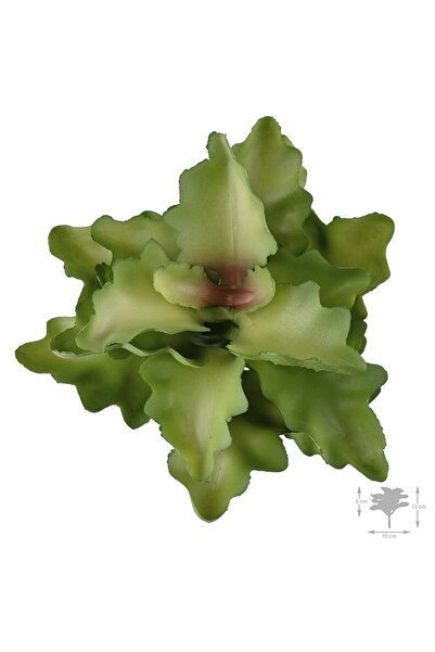 Roberto Rossi Planta artificiala suculenta model81